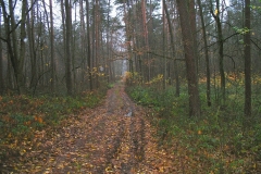 4_20120714_1533331589