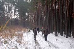 2_20120714_1018354589