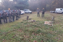 09_20171127_1061385559