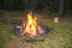 8_20120714_1827435757