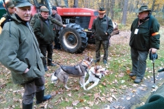 04_20151028_1641112486