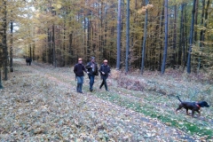 06_20151028_1283276432