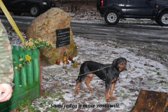 016_20120709_2094414000