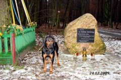 018_20120709_1436636994