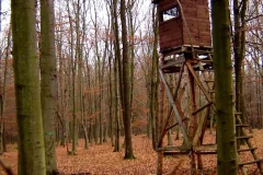 05_20120714_1676971872