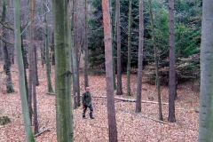 06_20120714_1642487649