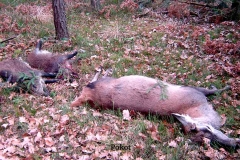 09_20120714_2029188059