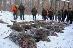 02_20120714_1528402185