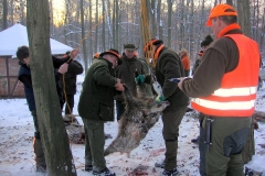 10_20120714_2039632985