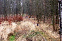 08_20160121_1184955528