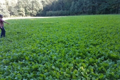 001_20160916_1130399240