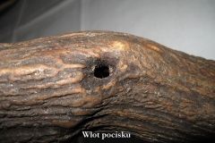 02_20120714_2028695298