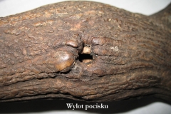 03_20120714_1234513796