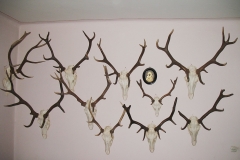 05_20120714_1804418506