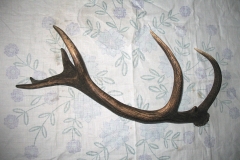 08_20120714_1896321951