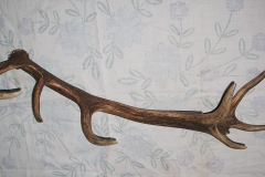 09_20120714_2099756884