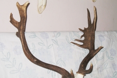 10_20120714_2059359587