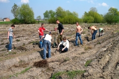 005_20120714_1463427231