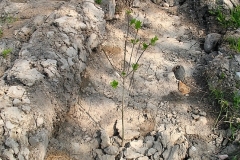 014_20120714_1100243189