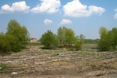 015_20120714_1537385675