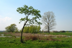 021_20120714_1669922345