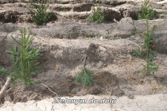 11_20120709_1695134698