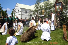 08_20140624_1539907718