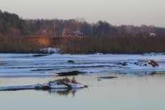 04_20140211_1314821706