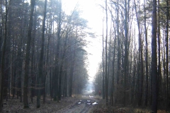 10_20161220_1549467875