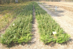 06_20120714_1199000024