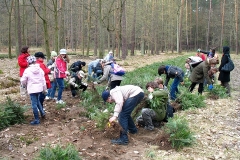 07_20120714_1621755628