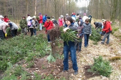 12_20120714_1286268195