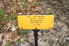 16_20120714_1524691356