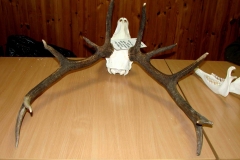 06_20140310_1326394238