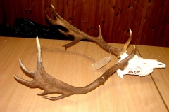 08_20140310_1126116053