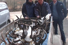 10_20140310_1041867482