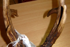 08_20131022_1465721504