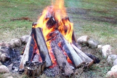 06_20161024_2028939477