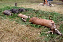 12_20161024_1064038615