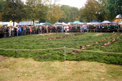 16_20161024_1845159020