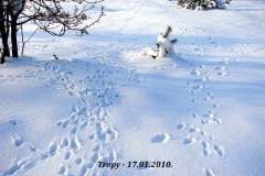 2_20120714_2022084710