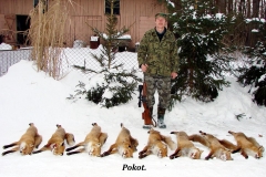 5_20120714_1031806808