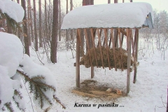 7_20120714_1846509602