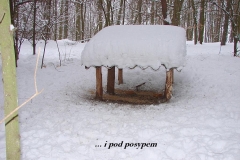 8_20120714_1744653690